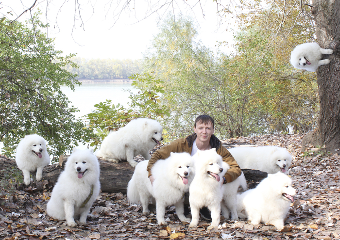 Вспомнил фотошоп в самоизоляции...