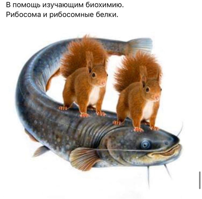 Полезная инфографика