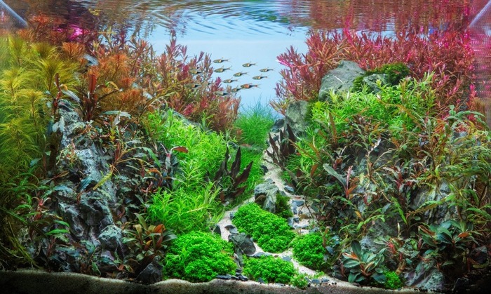 Ручеек или тропинка?