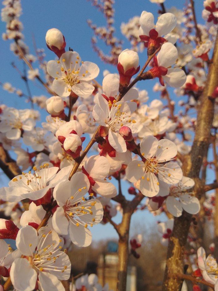 ������� �� ������