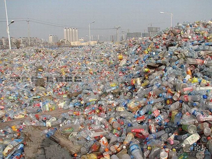 Ученые обнаружили фермент, разлагающий пластиковые бутылки на 90% Пластик, Переработка мусора