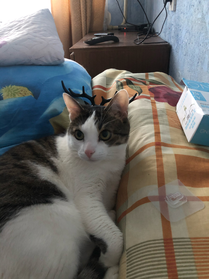 ��� ������� ����������) ����� ��������