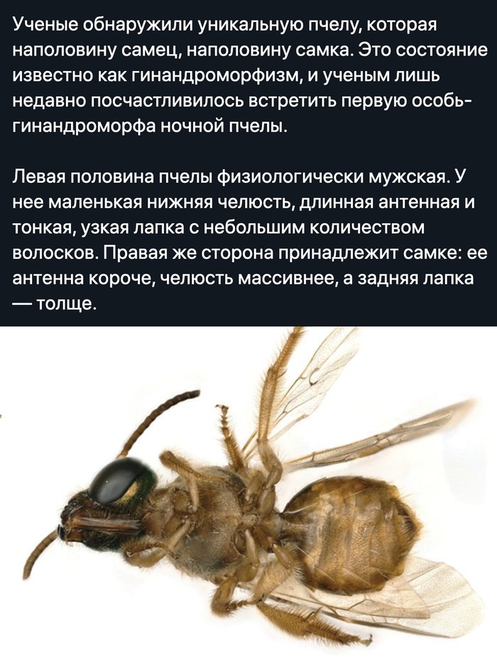 ����� � ������ ������� �����