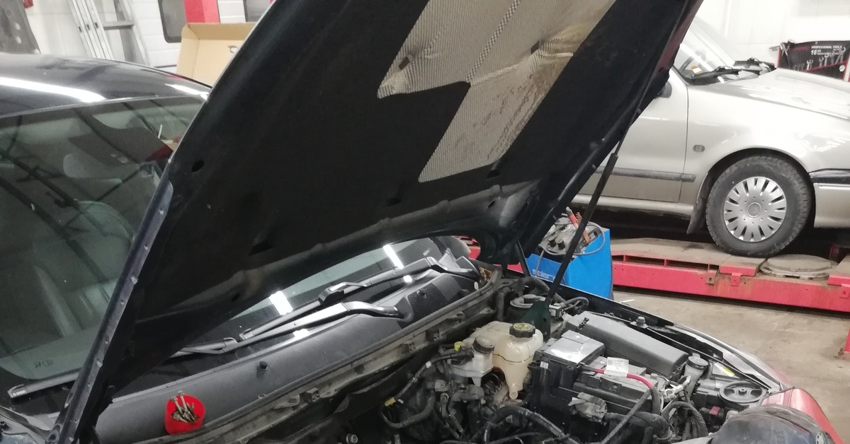 Просто фото прогоревшего поршня | Пикабу