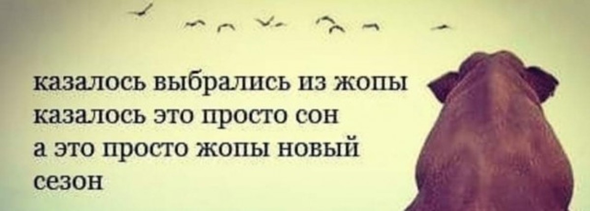 Казалось это. Казаться. Стишки порошки в картинках. Казалось это сказка казалось это сон. Выбравшись.