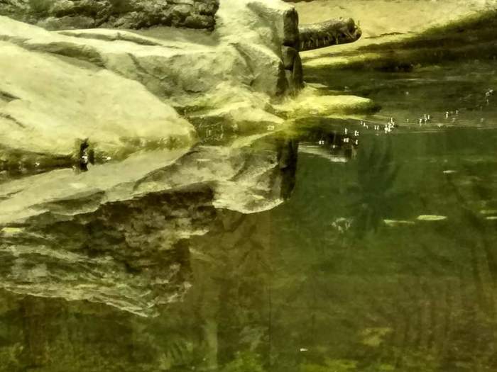 Вид красивый, но чет тревожно...