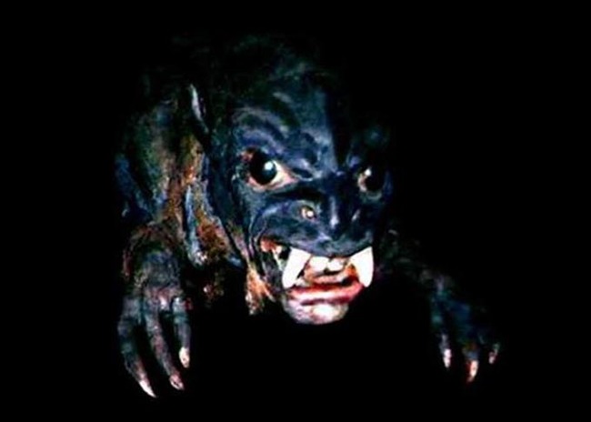 Рассусоливания о чупакабре