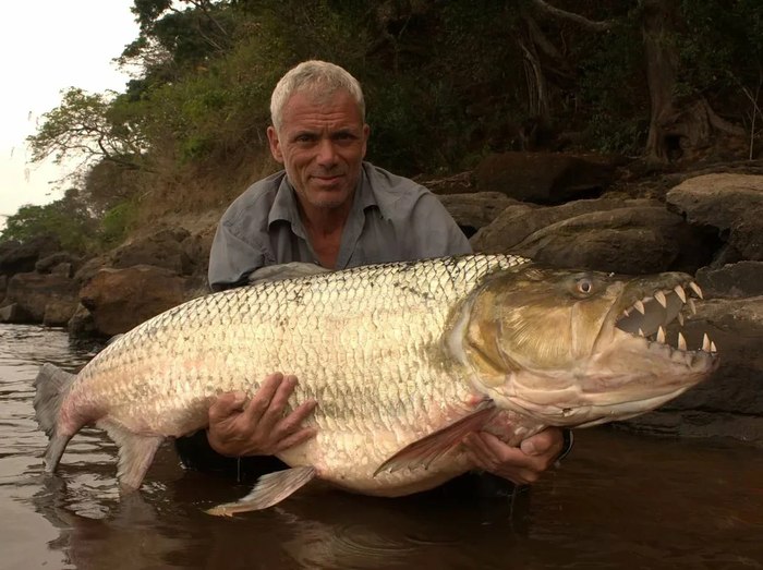 самая вкусная рыба это колбаса. Смотреть фото самая вкусная рыба это колбаса. Смотреть картинку самая вкусная рыба это колбаса. Картинка про самая вкусная рыба это колбаса. Фото самая вкусная рыба это колбаса самая вкусная рыба это колбаса. Смотреть фото самая вкусная рыба это колбаса. Смотреть картинку самая вкусная рыба это колбаса. Картинка про самая вкусная рыба это колбаса. Фото самая вкусная рыба это колбаса