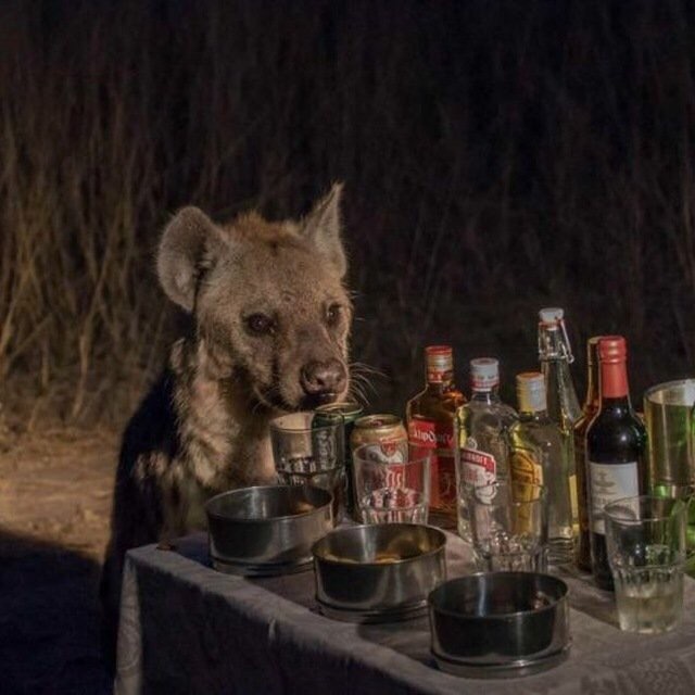 Вы пейте, я подожду