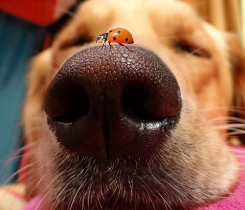 Дружба, она такая