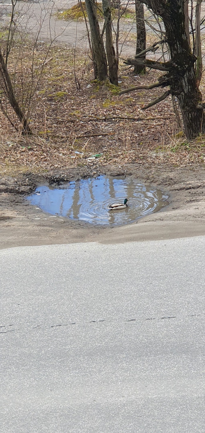 ���� �� ������������