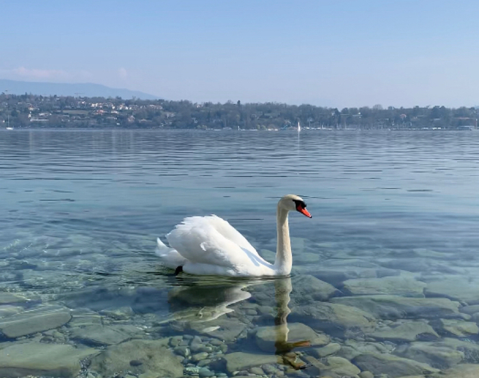 ������ ����� - ������� ��� ��