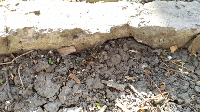 ���� �� ����