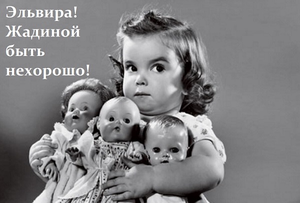 Жадина | Пикабу