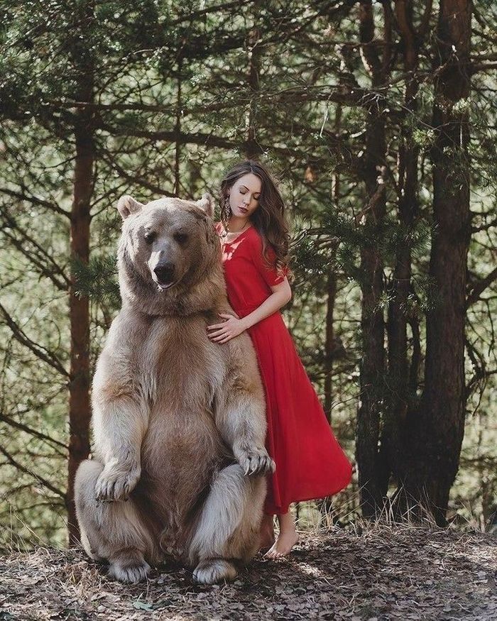 Степан и барышни Медведь, Девушки, Длиннопост, Медведь Степан