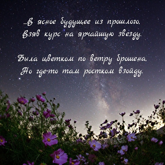 В ясное будущее