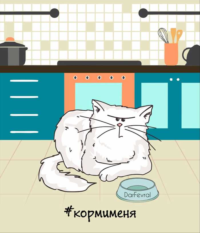 Истории кота Тимофея, или новая жизнь после улицы