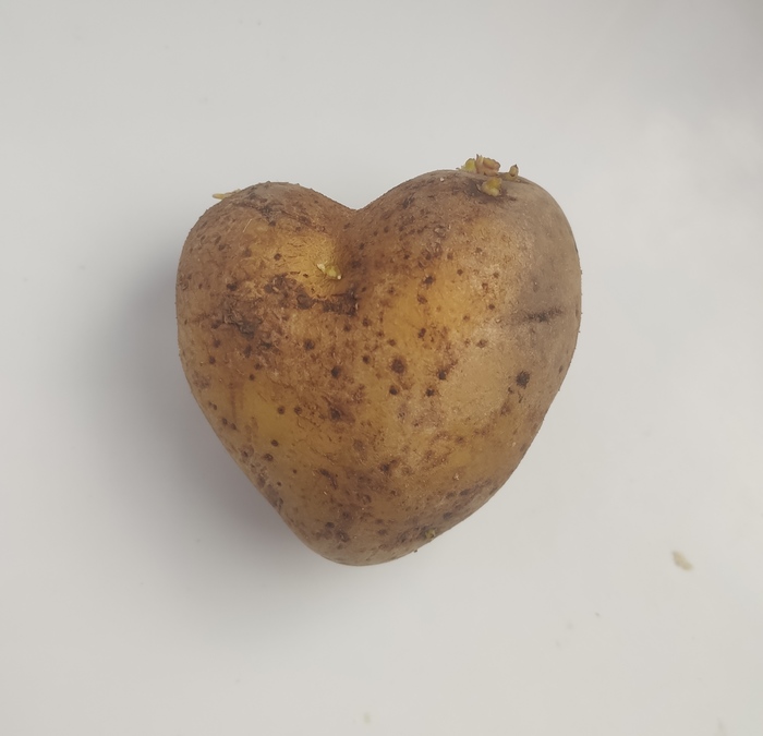 Карантинка