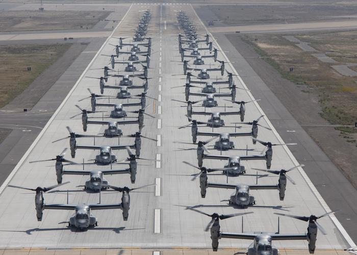     , , Elephant walk