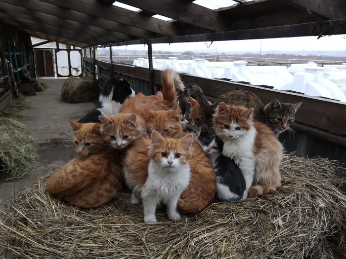 ���������� ������� ��