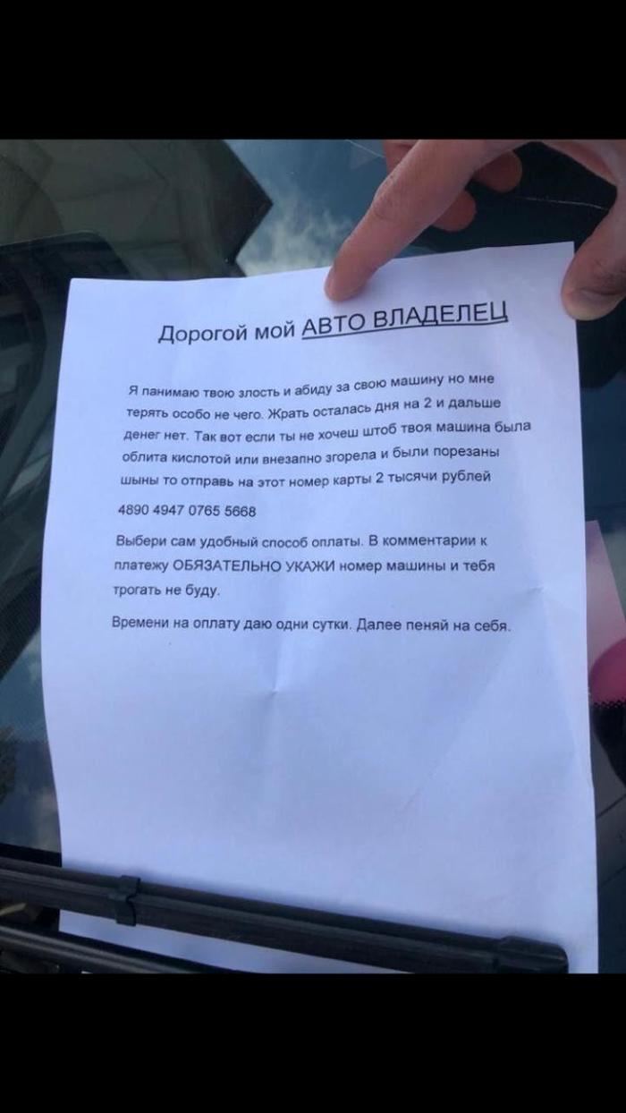 Разбили окна всем машинам во дворе. Питер