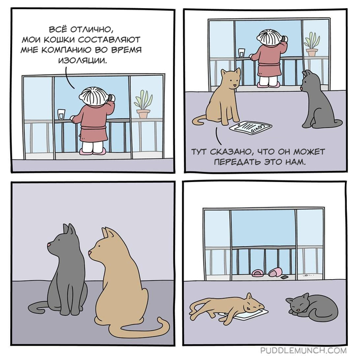 ����� �COVID-19