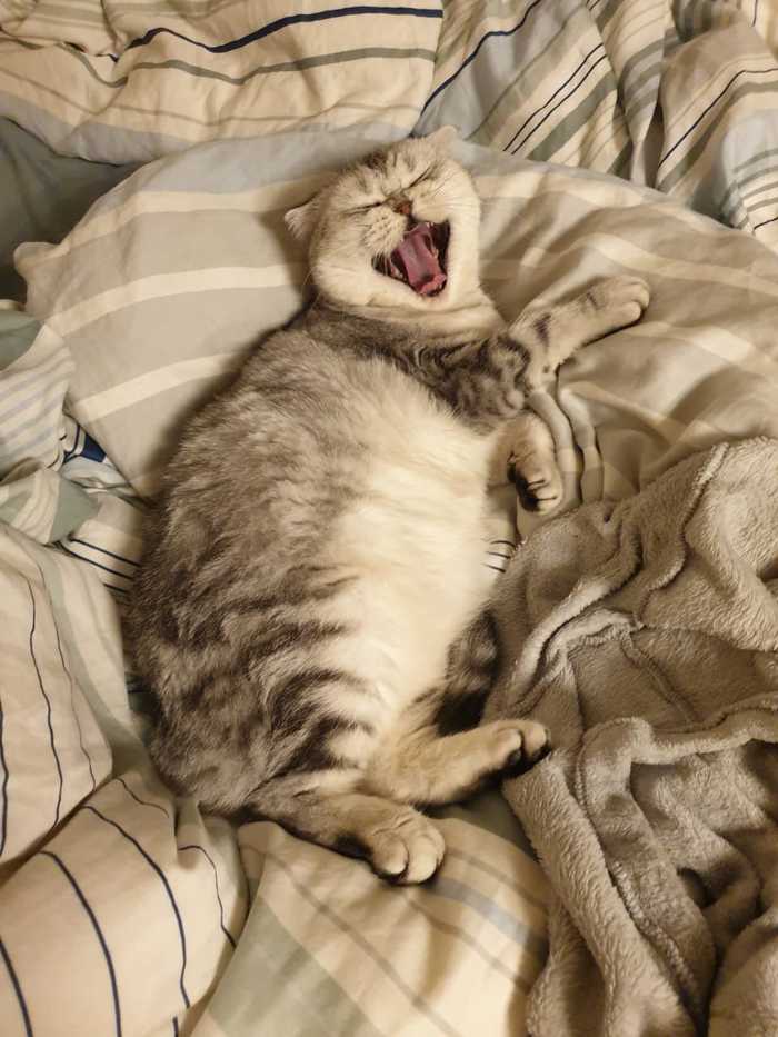 ����-�-�-��! ����� ����!