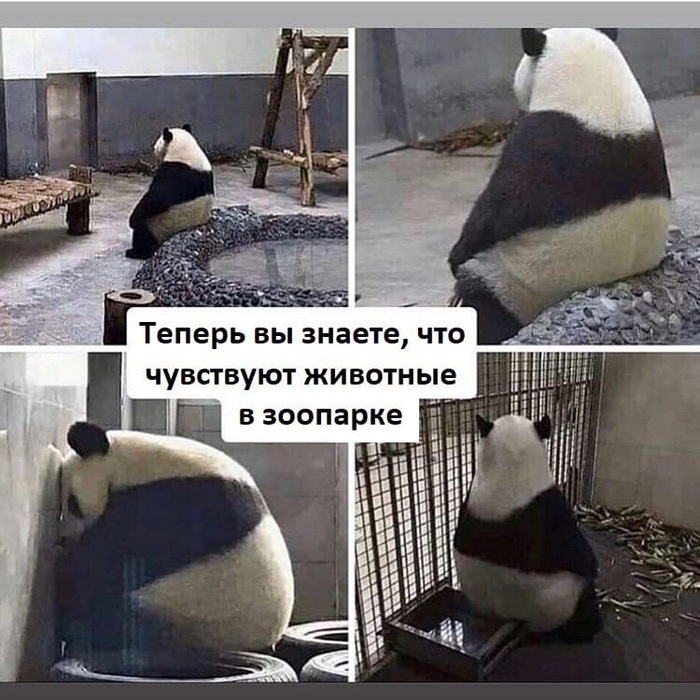 ��.�� ���� ���� ������