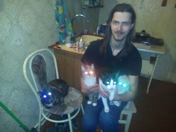 КОТарсис >о.О= Часть вторая :Highway to Hell !!! Длиннопост, Животные, Путешествия, Мат, Кот