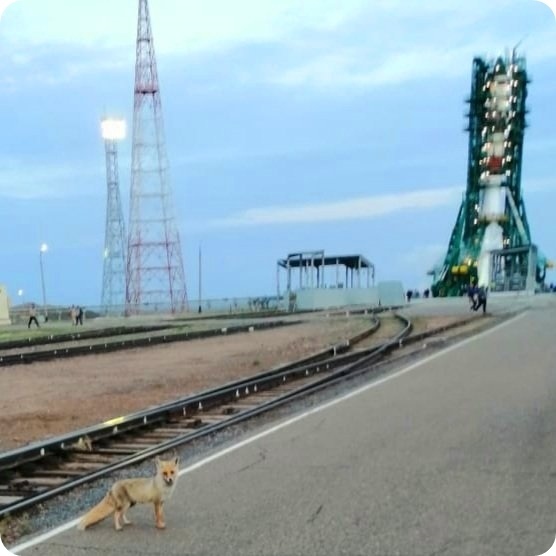 ��� ��������� ���������...