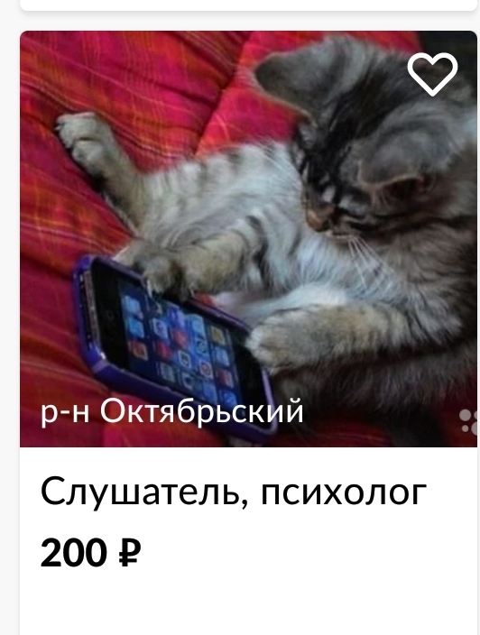 Котэ-психолог | Пикабу