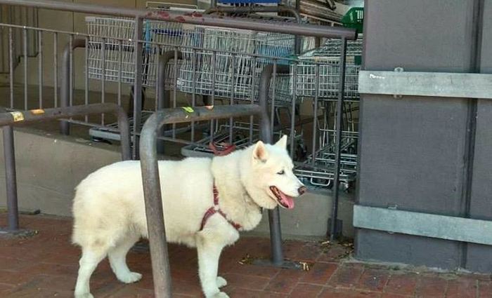 ����� ������ ��� ������� �������!