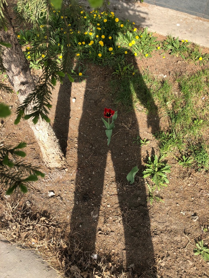          , , ,   , , 