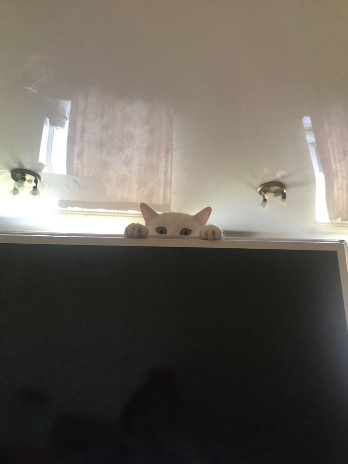 ������� ���� ������ ��� � ������� �� ��������