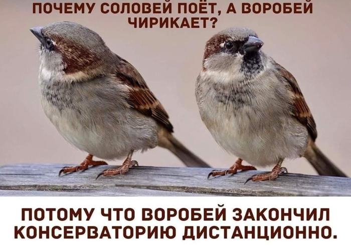 ������������� ��������