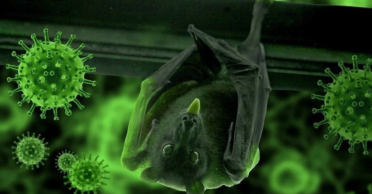 Вирусы вирофаги. Пути распространения коронавирусной инфекции. Что будет с этим вирусом. Что будет с этим вирусом. Что будет с этим вирусом.