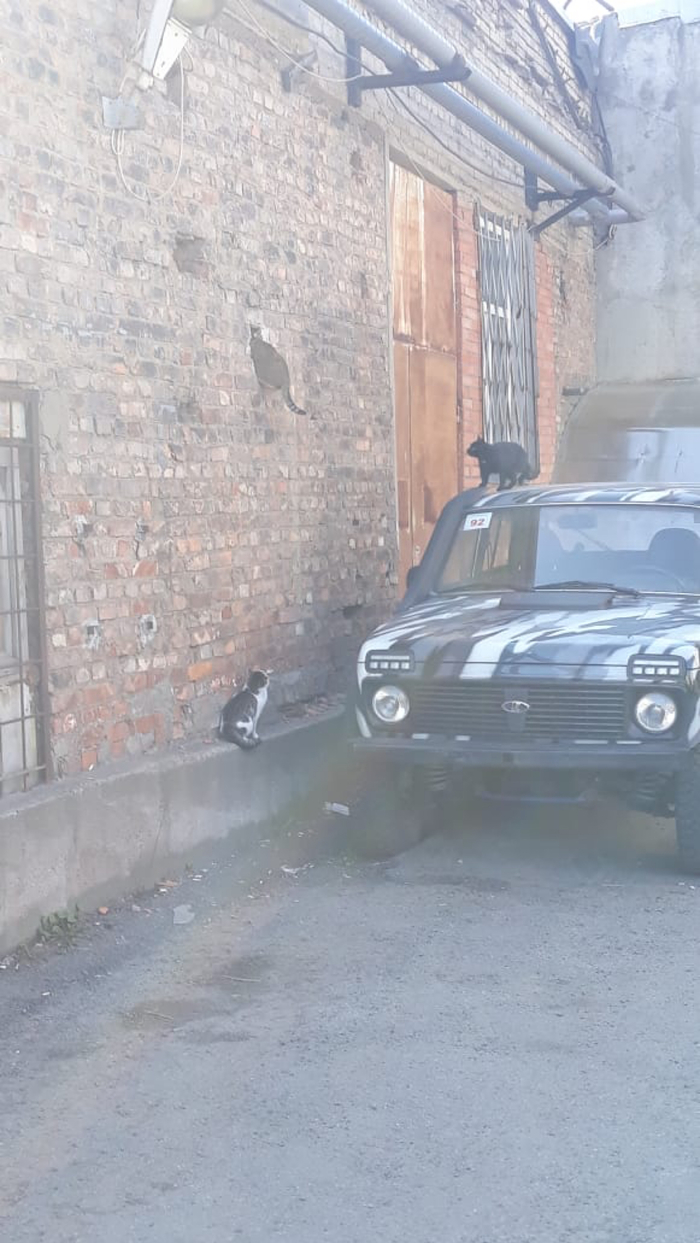 ��������� �������