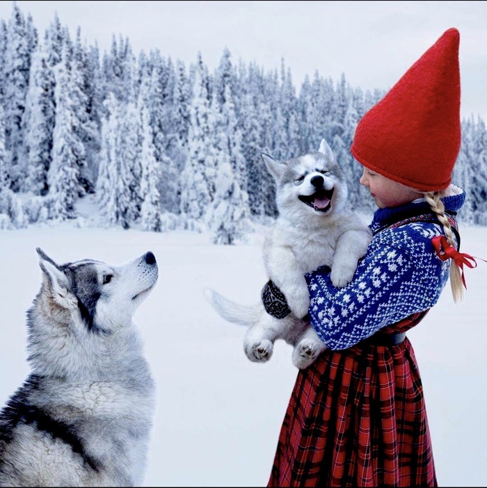 — Можешь забрать его в обмен на пирожки!