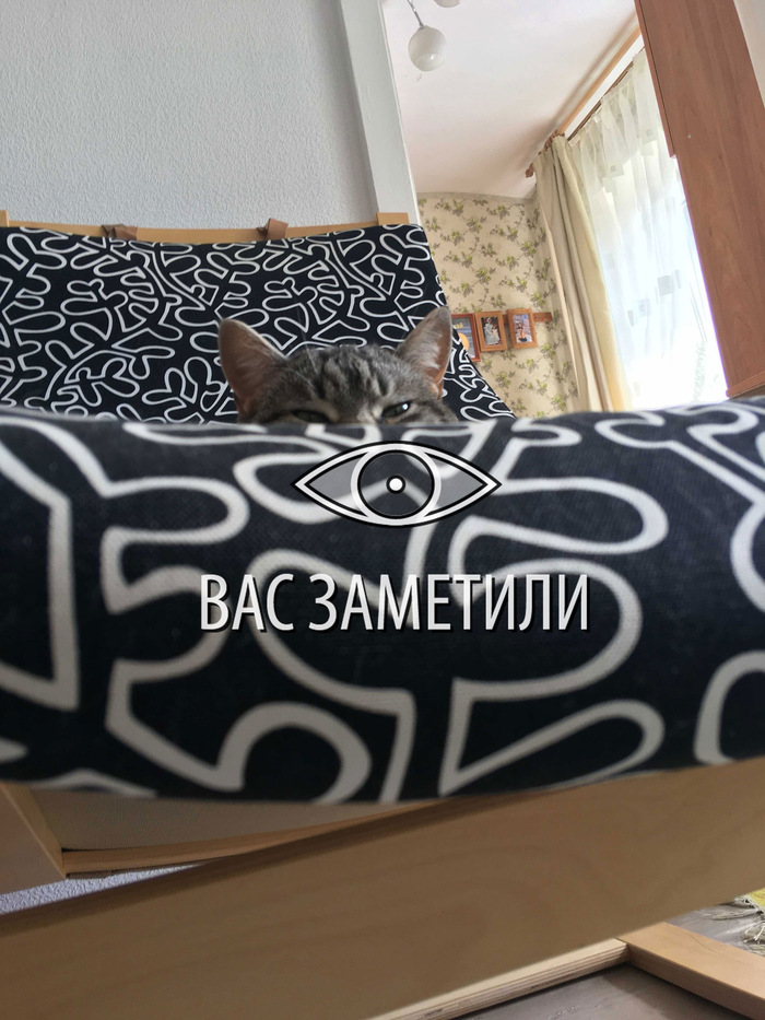 ������ �� ����