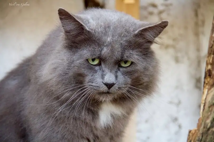 ������� ������ ��������� ����