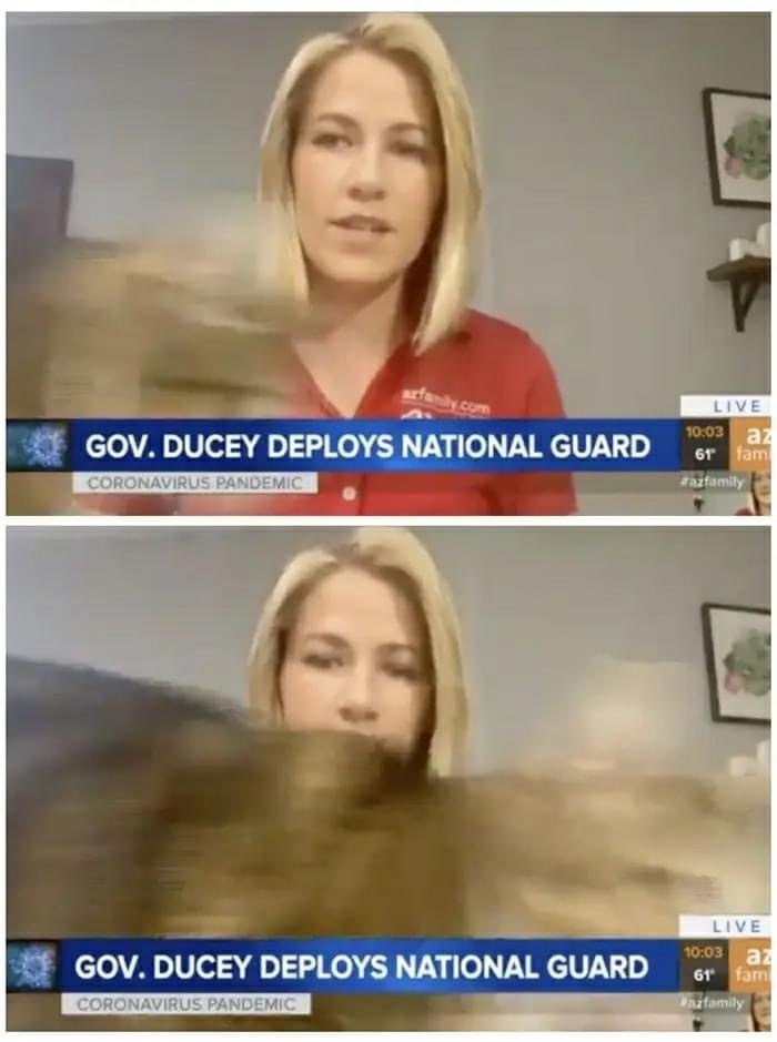 �����-�� �������� ������ �� ����� ���������