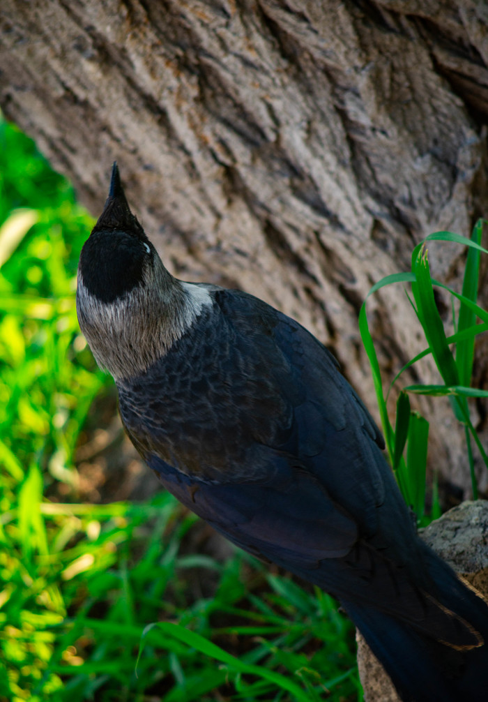 ��������� ���������