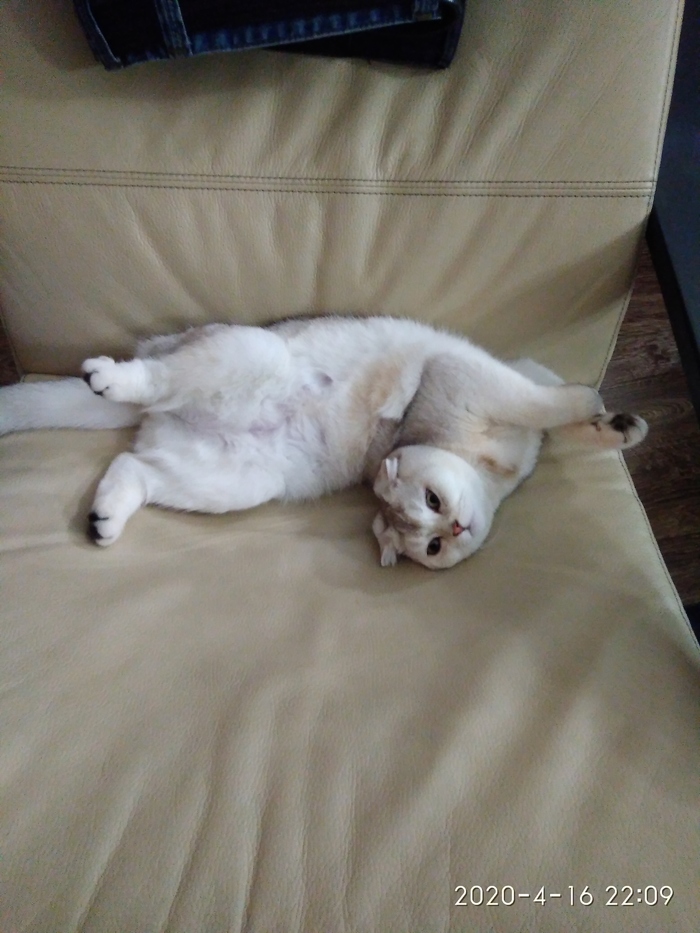 Загогулинка;))