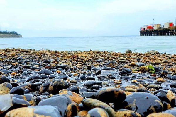 Кубанские пляжи оказались загрязнены нефтепродуктами