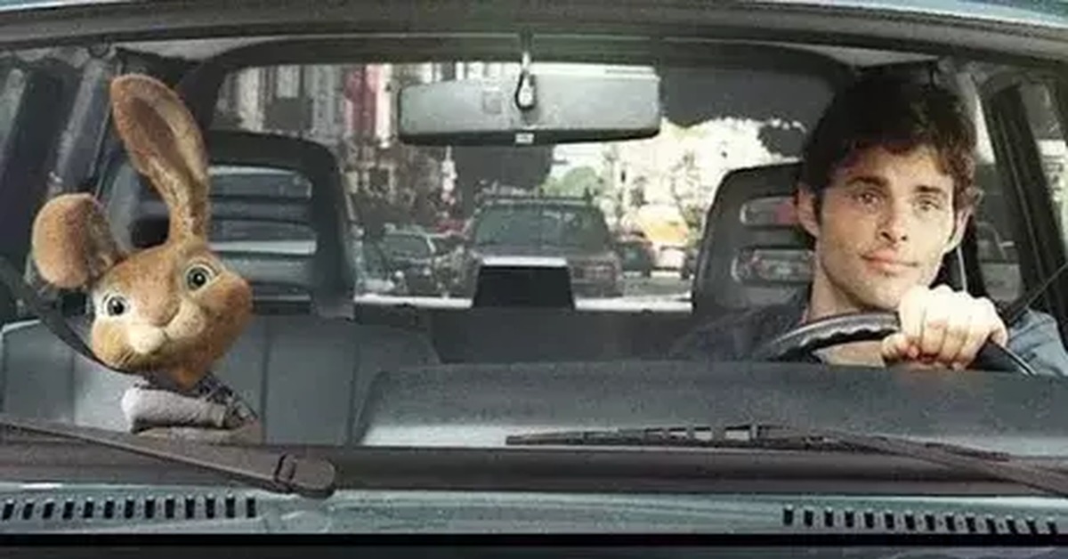 Бунт ушастых кролик. Комедия зайцы. Комедия зайцы. Бунт ушастых хэппи. Комедия зайцы.