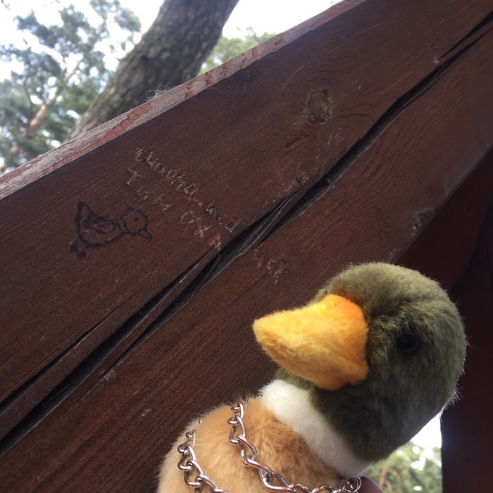 ����� �������� �������, �� ����� ��������� ���