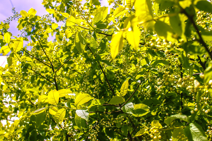  ! :) , , , , Canon500d, , ,  , 