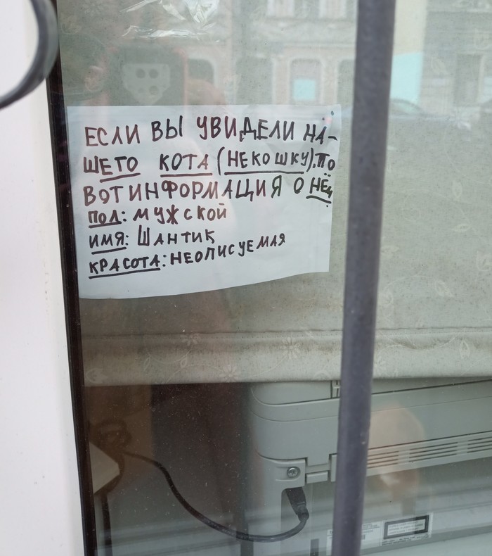 Если увидели некошку