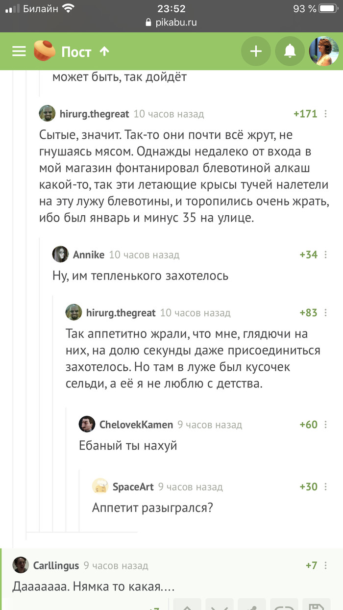 Голубь: истории из жизни, советы, новости, юмор и картинки — Лучшее,  страница 6 | Пикабу