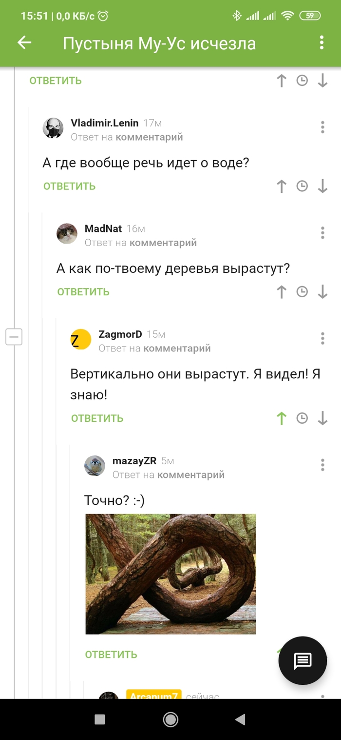 Как растут деревья